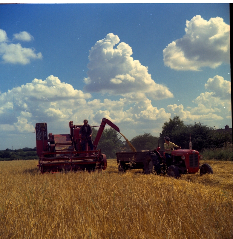 scan0001.jpg