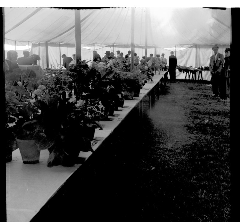 scan0009.jpg scan0009.jpg
