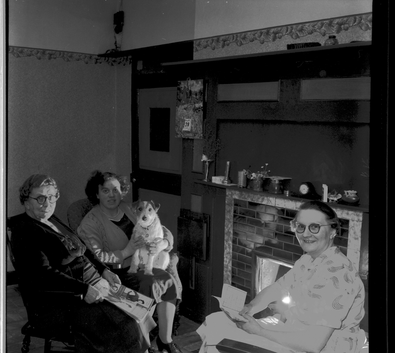 scan0002.jpg