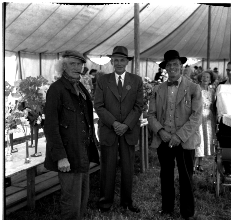 scan0002.jpg scan0002.jpg