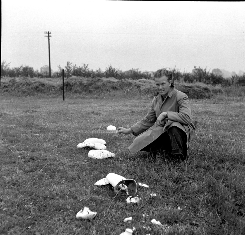 scan0002.jpg