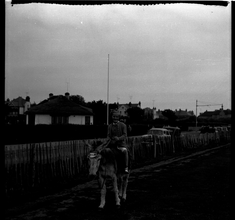 scan0007.jpg