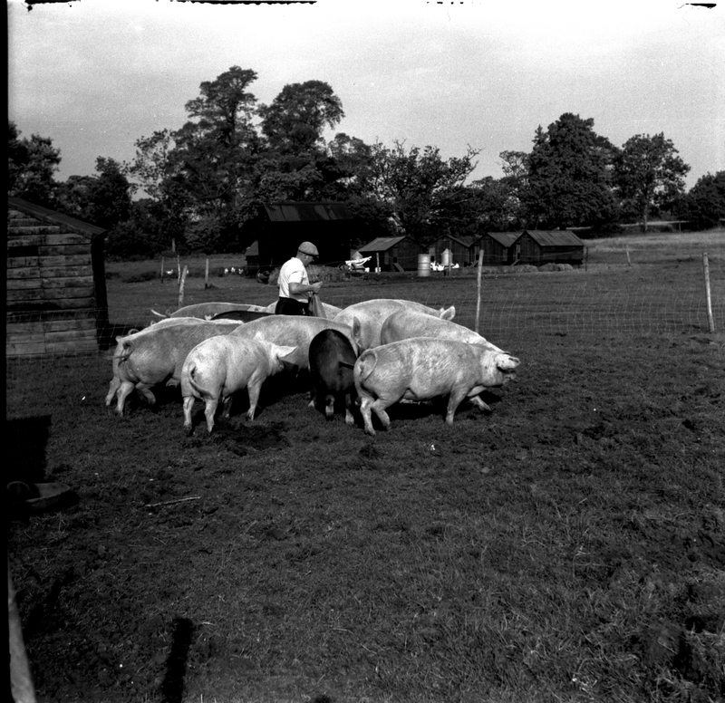 scan0048.jpg