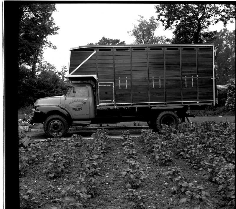 scan0014.jpg