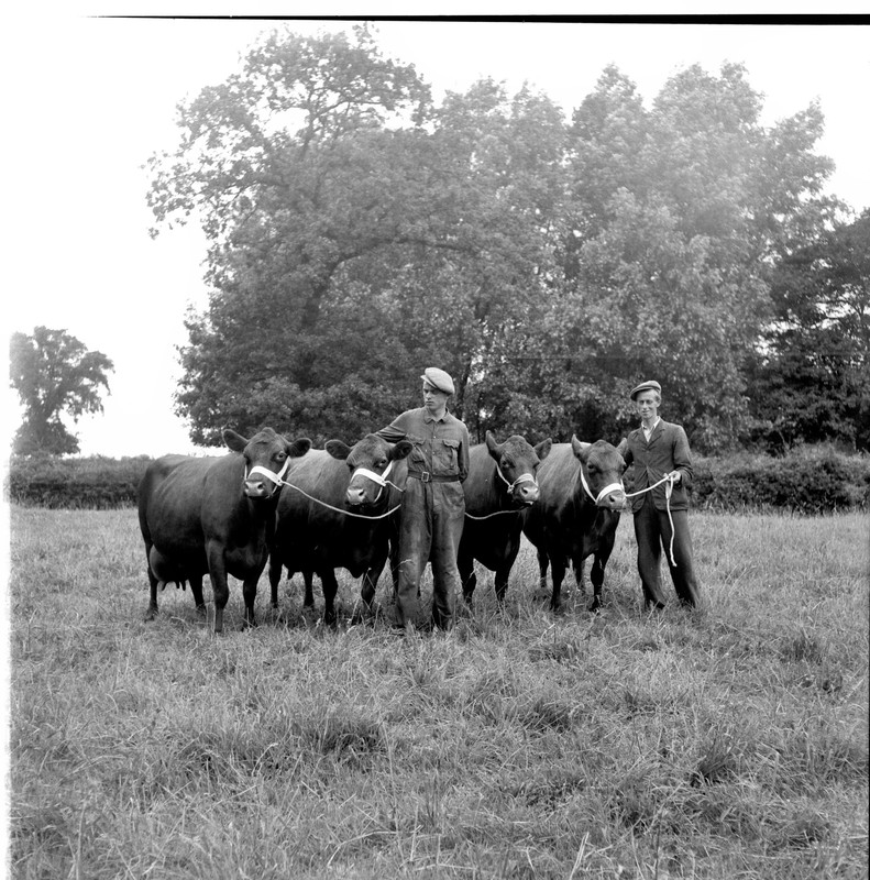 scan0002 (2).jpg scan0002 (2).jpg