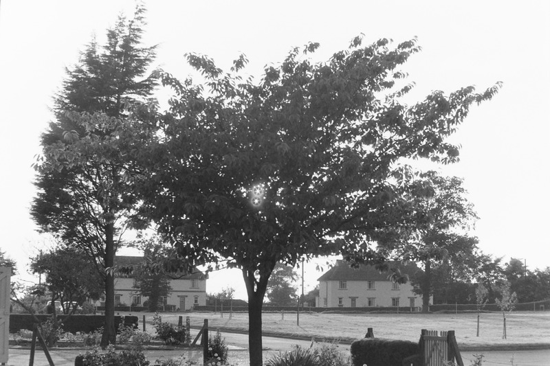 PICT0097.JPG PICT0097.JPG