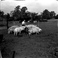 scan0048.jpg