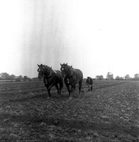 scan0004.jpg