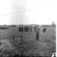 scan0003.jpg